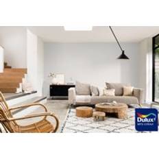 Paint Dulux Colour Tester Cocoa Blush White