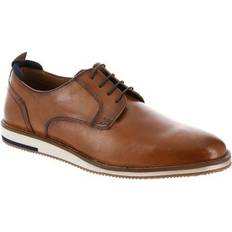 Steve Madden Low Shoes Steve Madden Brookes Mens Tan Oxford