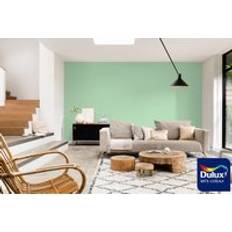 Dulux Green Paint Dulux Colour Tester Garland Green