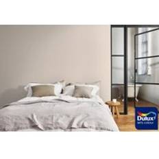 Paint Dulux Colour Tester Amber Queen Orange