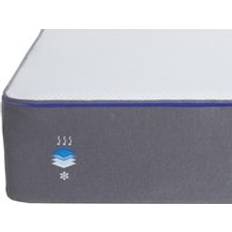 Nectar Hybrid Lite Double