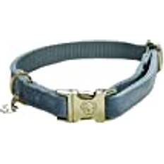 Velvet Collar