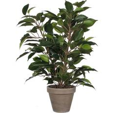 Mica Decorations 930307 Ficus Natasja Stan Pot, Polyester, Green, 30 x 30 x 40 cm Kunstig plante