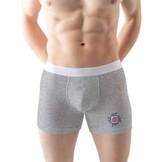 Mens briefs Green Fish Men's Boxer Briefs - Grey