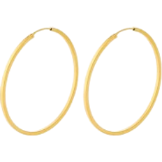 Pernille Corydon Øredobber Pernille Corydon Small Orbit Hoops - Gold