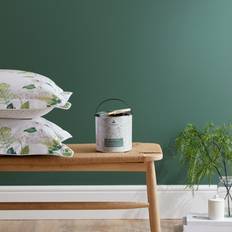 Paint Dorma Mallard Wall Paint Green