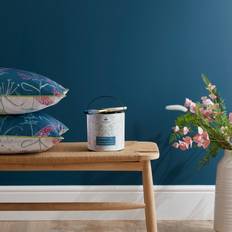 Paint Dorma Dragonfly Teal Wall Paint Blue