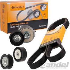 Continental ctam 6pk1370k1 keilrippenriemensatz keilriemen