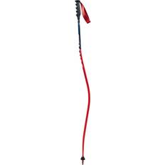 Swix WC Pro DH Carbon Pole