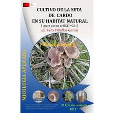 Cultivo de la Seta de Cardo en su habitat natural: Asociacion del hongo Hongo Pleurotus Eryngii y la planta Eryngium Campestre Felix Villullas Garcia 9788469756997 (Hæftet)