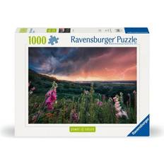 Ravensburger Familjepussel Ravensburger Ravensburger Puzzle 12000793 Ein Sturm zieht auf 1000 Teile Puzzle für Erwachsene ab 14 Jahren