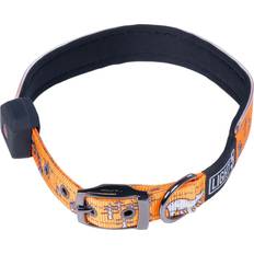 Husdjur Light5 Hundhalsband Light5 Doggo Led Collar, XL