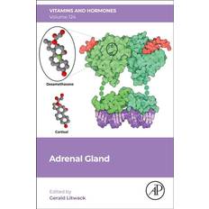 Adrenal Gland (Inbunden)