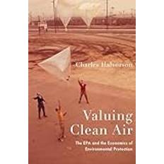 Valuing Clean Air (Indbundet)