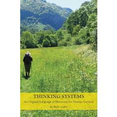 Thinking Systems (Hæftet)