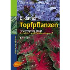 Balkon Bildatlas Topfpflanzen für Zimmer und Balkon (Hardcover, 2004)