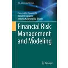 Financial Risk Management and Modeling International Publishing (Gebunden)