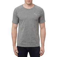 Tops Puma Men’s Evostripe Tee L, Gray