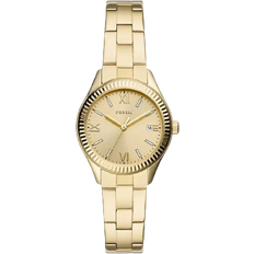 Fossil Rye (BQ3638)