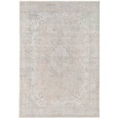 Loomed Neutral Distressed Traditional Beige