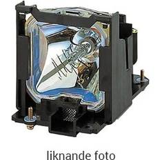 Projektorlampa