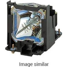 Sharp Original Inside Lamp for PG-MB60X Projector (Original Lamp