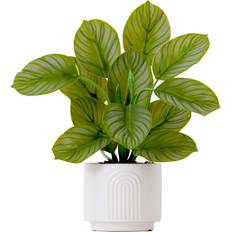 Nearly Natural 12" Calathea with Artificial Plant