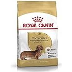 Royal Canin Dachshund Adult 1,5kg