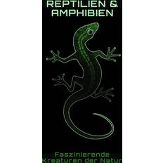 Reptilien und Amphibien Philipp Frühwirth 9798389880399 (Hæftet)