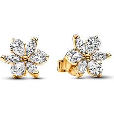 Pandora Ohrringe Pandora Sparkling Herbarium Cluster Stud Earrings - Gold/Transparent