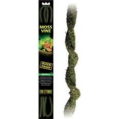 Exo Terra Pets Exo Terra Moss Vine Small