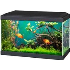 Ciano Aqua 20 Classic Aquarium 17L Fish Tank