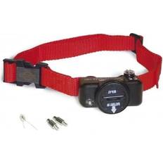PetSafe Hundar Husdjur PetSafe Ultralight Deluxe Hundhalsband