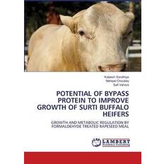 POTENTIAL OF BYPASS PROTEIN TO IMPROVE GROWTH OF SURTI BUFFALO HEIFERS: GROWTH AND METABOLIC REGULATION BY FORMALDEHYDE TREATED RAPESEED MEAL (Häftad)