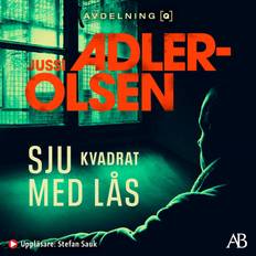 Sju kvadrat med lås (Ljudbok, MP3, 2024)