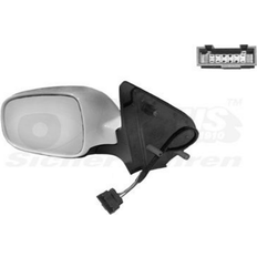 Car Wing Mirrors Van Wezel Outside