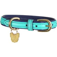 Shires Digby & Fox Padded Leather Dog Collar