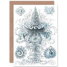 White Cards & Invitations ARTERY8 Nature Jellyfish Ernst Haeckel Germany Biology Birthday Greetings Card Plus Envelope Blank inside White One Size