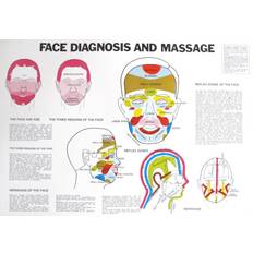 Face Diagnosis and Massage Bog, Paperback softback, Engelsk (Hæftet)