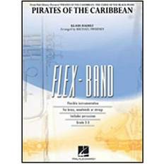 Pirates of The Caribbean (Broché)