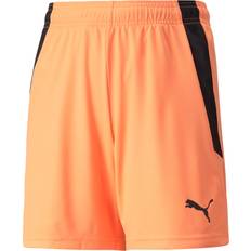 Puma TeamLIGA Shorts - Orange