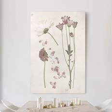 Pink Framed Art Klebefieber Botanik Hochformat Herbarium rosa II Bild