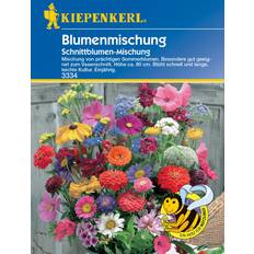 Oktober Blumensamen Kiepenkerl Blumenmischung Schnittblumen-Mischung 0693109430