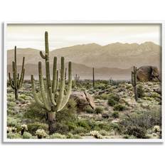 Stupell Industries Rocky Desert White Framed Art 30x24"