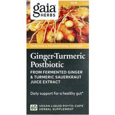 Gaia Herbs Ginger-Turmeric Postbiotic