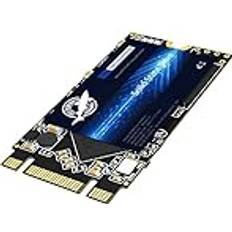 Dogfish SSD SATA M.2 2242 1TB SSD
