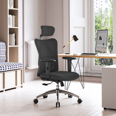 SIHOO M18 Classic With Triple Spinal Relief Office Chair