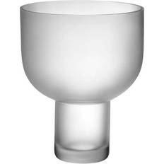 Nebl Medium Frosted