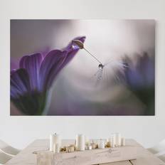 Purple Framed Art Klebefieber Blumen Querformat Purple Rain Bild