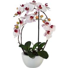 Konstväxt Orkidé Phalaenopsis 52 cm Rosa Konstgjord växt
